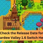 Stardew Valley 1.6 Switch