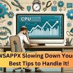 WSAPPX
