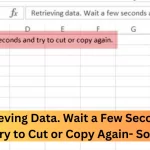 Retrieving Data. Wait a Few Seconds and Try to Cut or Copy Again